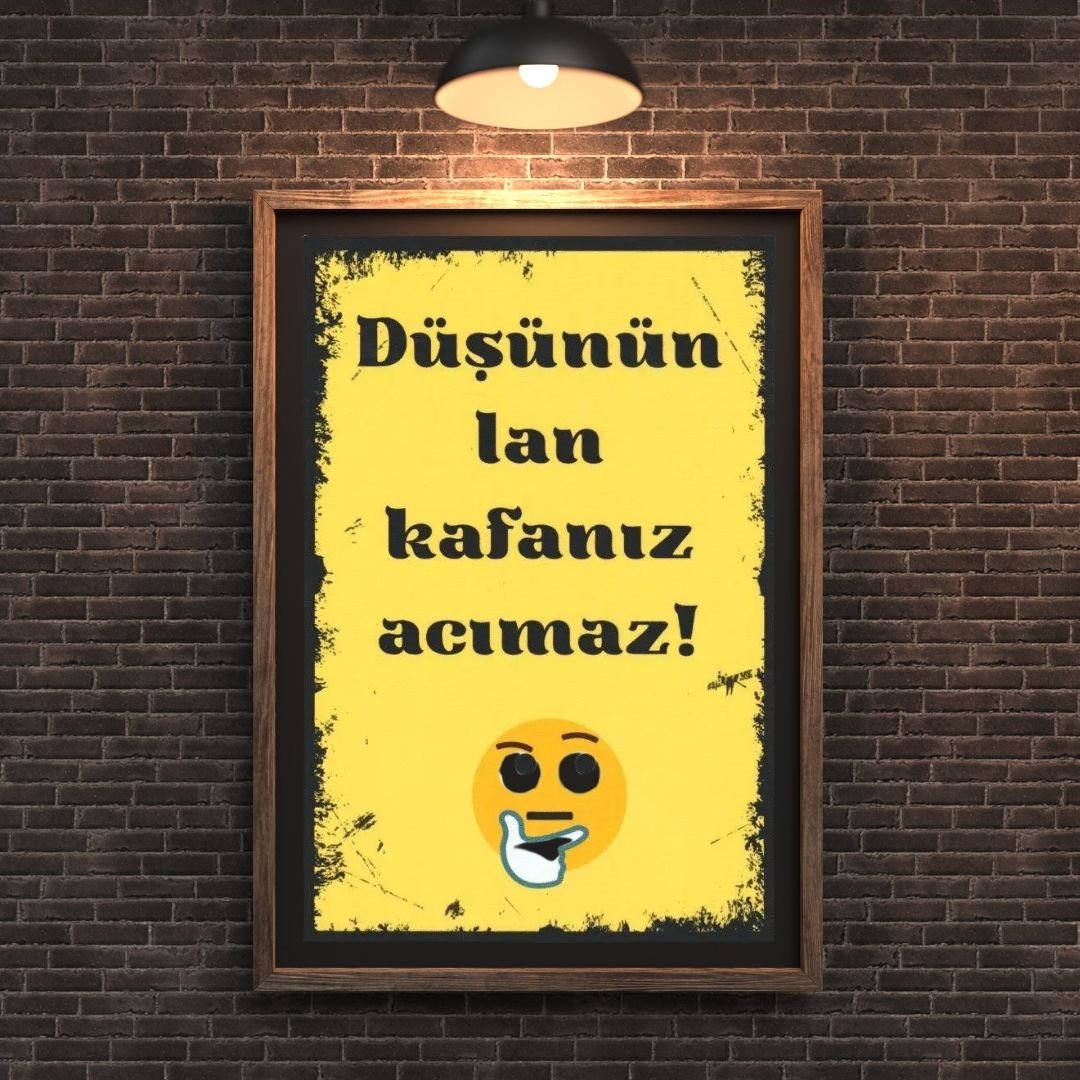 30x20 cm Düşünün Lan Kafanız Acımaz 2