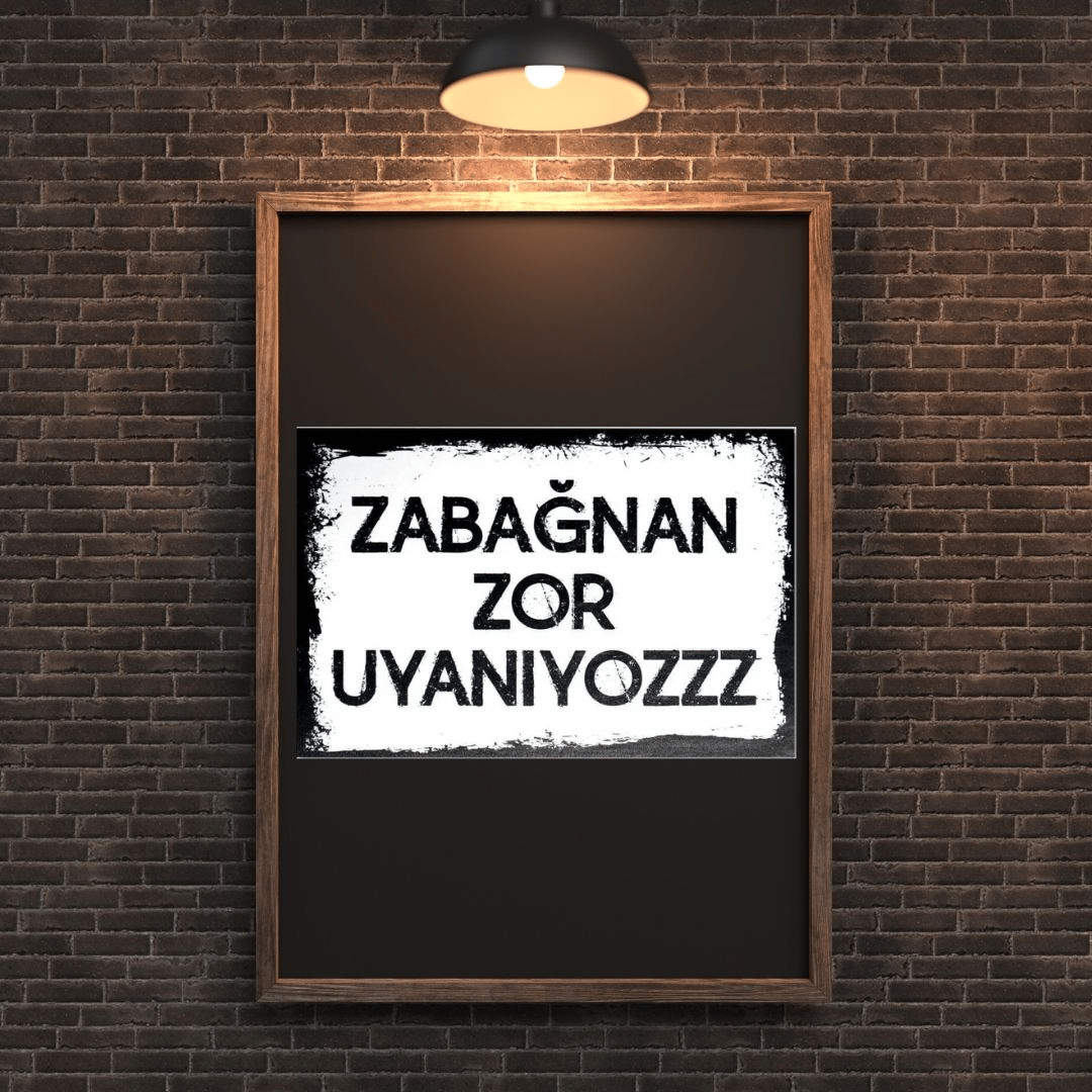 30x20 cm Zabağnan Zor Uyanıyosss
