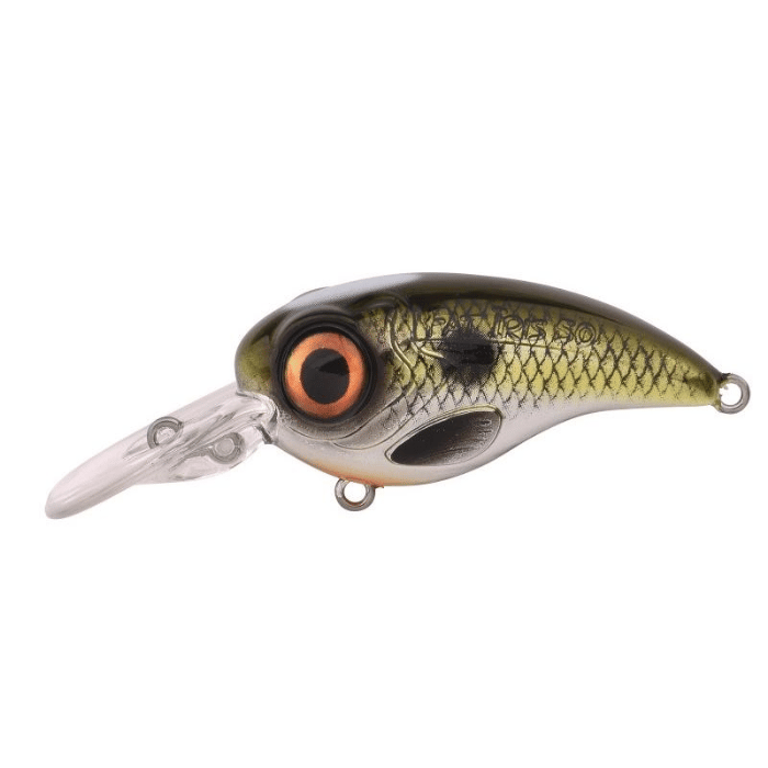 SPRO Fat Irıs CR Shad 5CM 11G Sert Yem