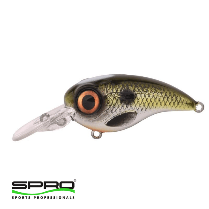 SPRO Fat Irıs CR Shad 5CM 11G Sert Yem
