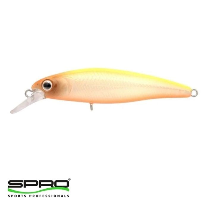 SPRO Ikiru Jerk 65 FS N.Chart Back  1/1
