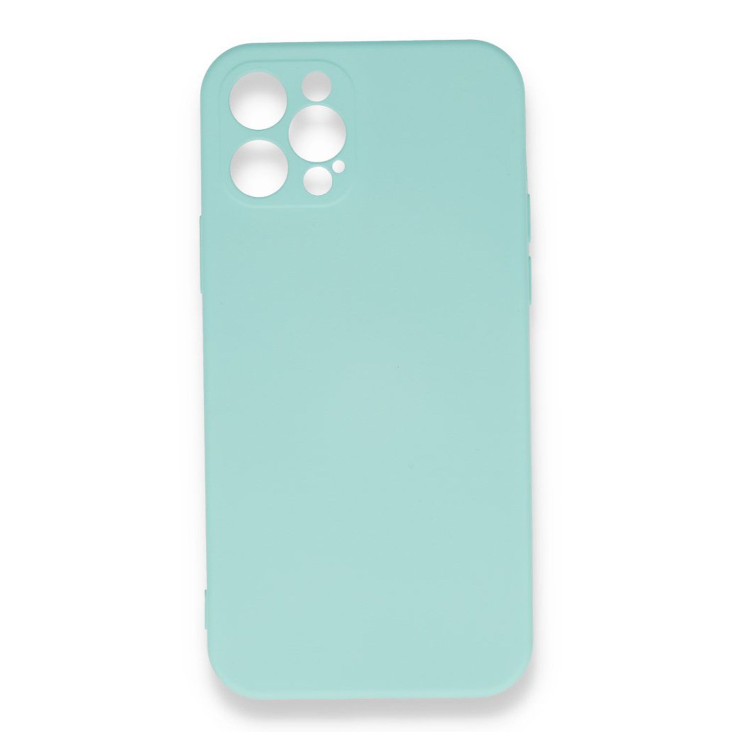 Nettech Apple iPhone 12 Pro Uyumlu Nano Arka Koruma Kılıf NT-82275