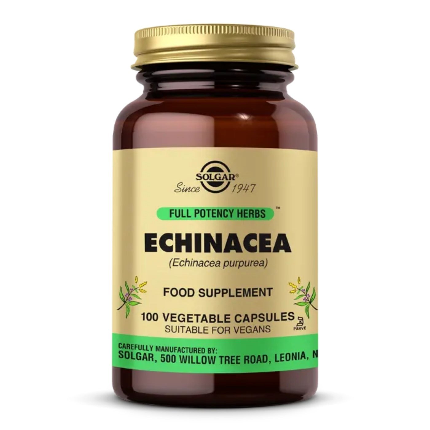 SOLGAR Echinacea 100 Kapsül