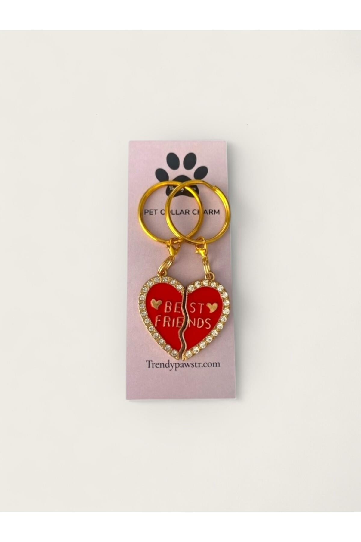 KEDİ & KÖPEK TASMA CHARM /AKSESUARI