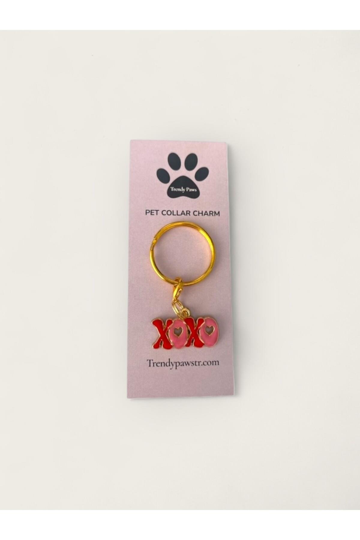 KEDİ & KÖPEK TASMA CHARM /AKSESUARI