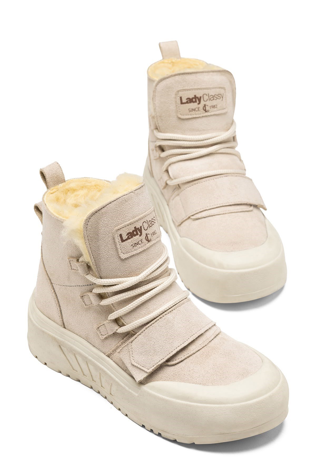 LDYBOOT0000536