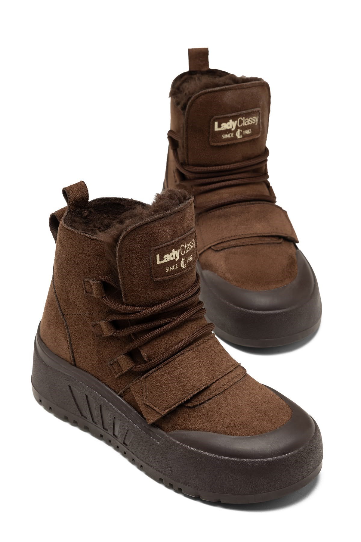 LDYBOOT0000536