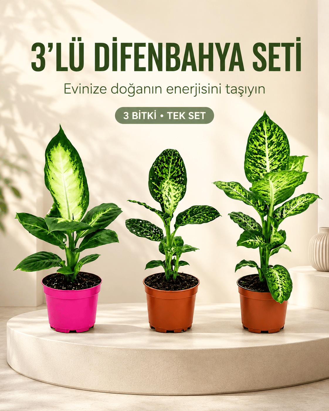 Camilla - Reflector - Mars 3'lü Set - 12 cm Saksı