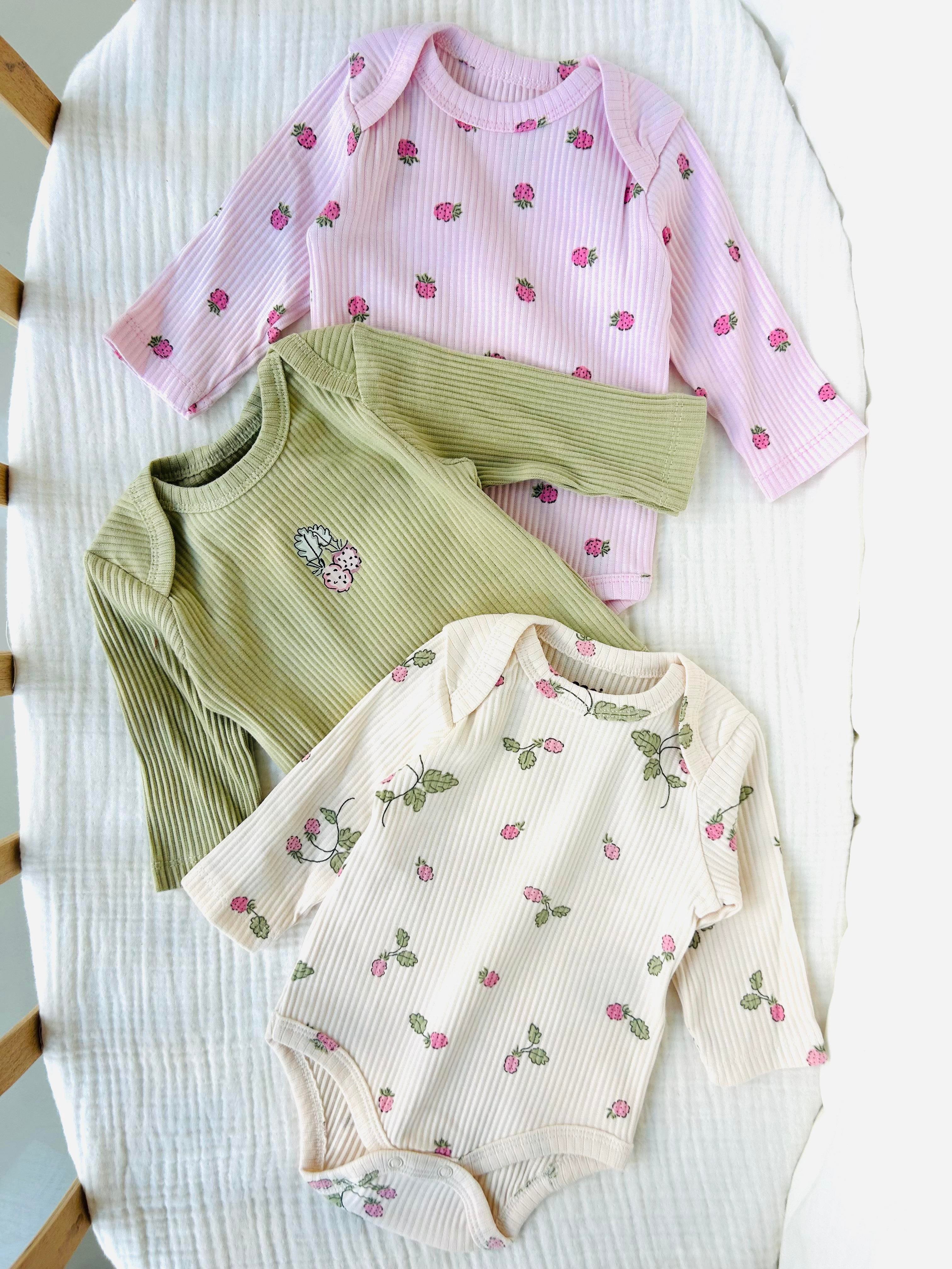 Raspberry 3'lü Zıbın