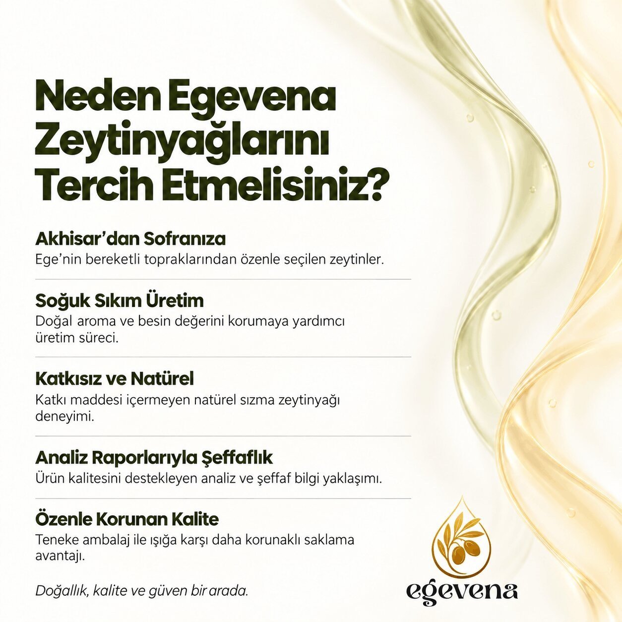 5 Litre Erken Hasat Natürel Sızma Soğuk Sıkım Zeytinyağı -ZEYTİNYAĞI