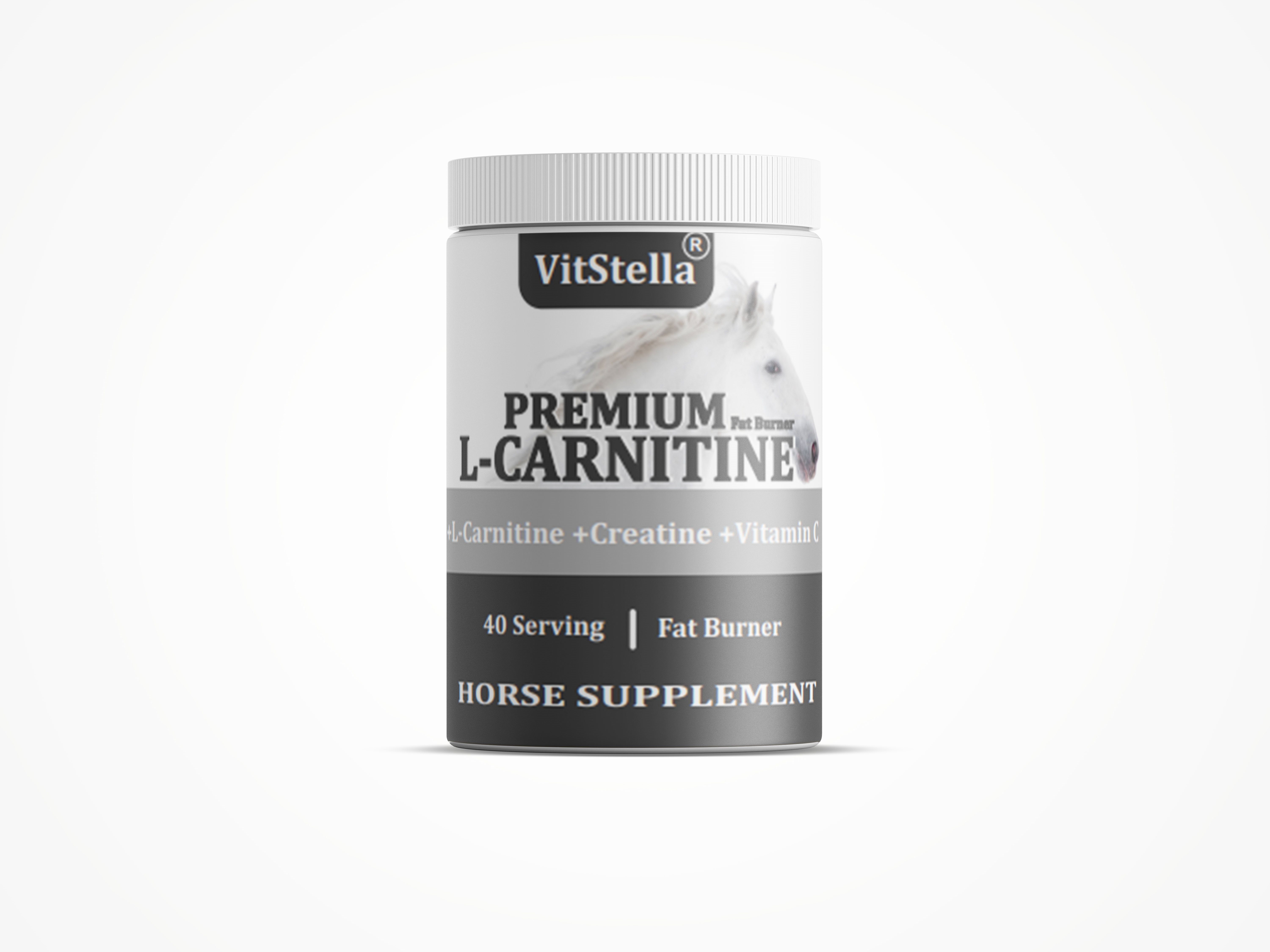 VitStella Premium L-Carnitine 1 Kg
