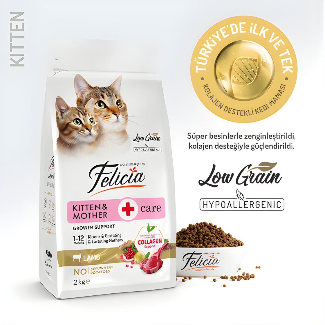 Felicia Hipoalerjenik Kuzu Etli Düşük Tahıllı Yavru Kedi Maması 2 kg