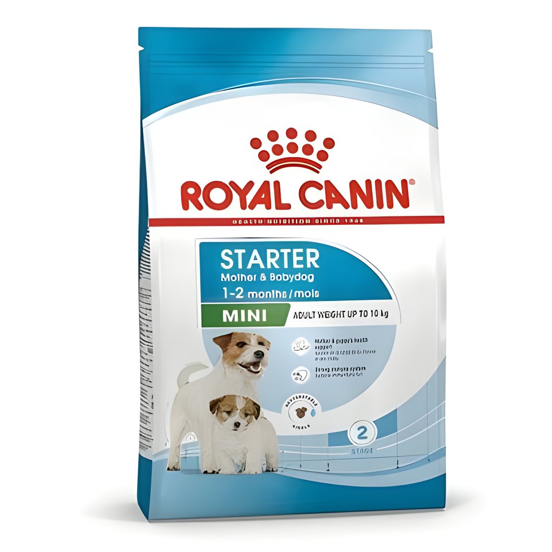 Royal Canin Mini Starter Yavru Kuru Köpek Maması 4 Kg