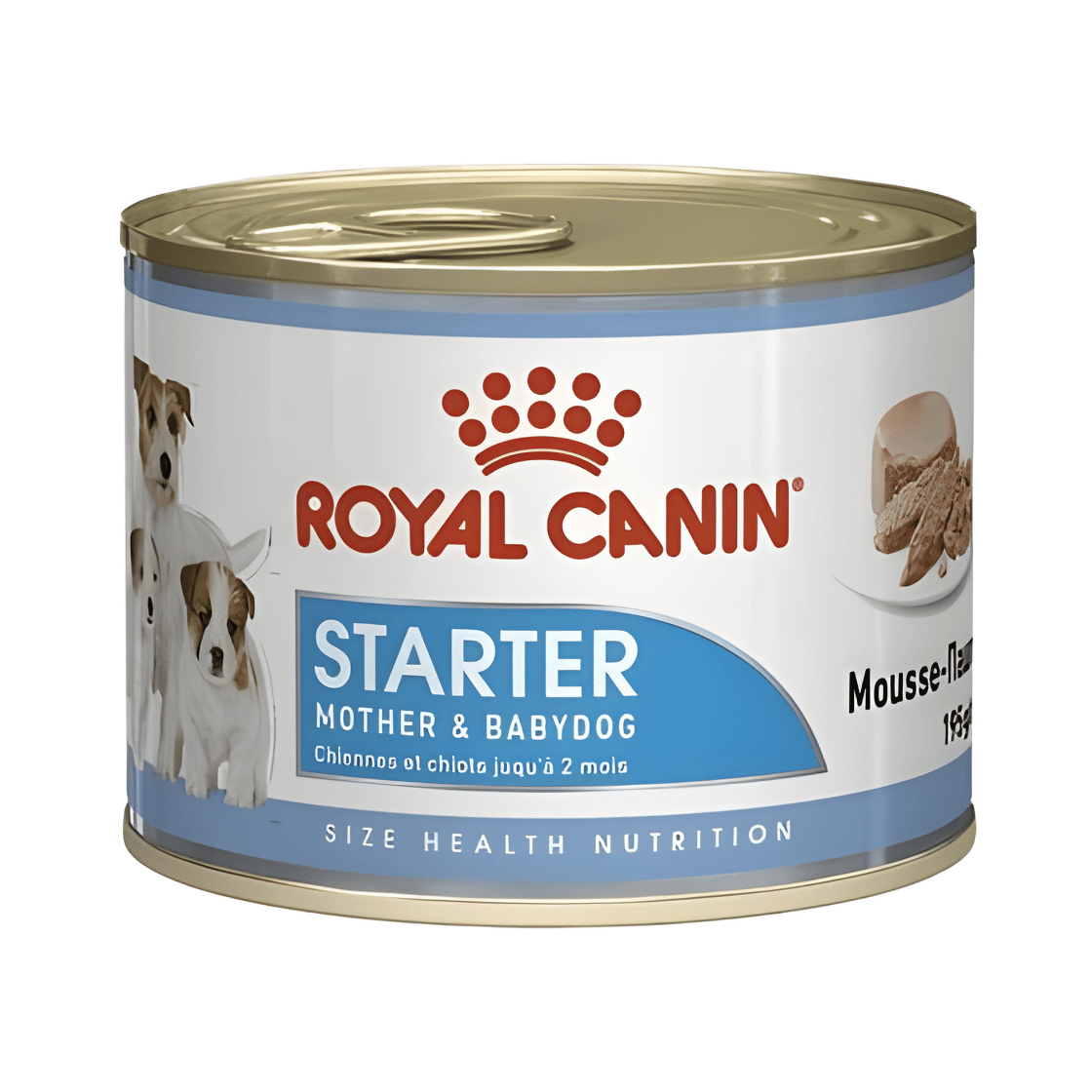 Royal Canin Starter Mousse Yavru Köpek Konservesi 195 Gr