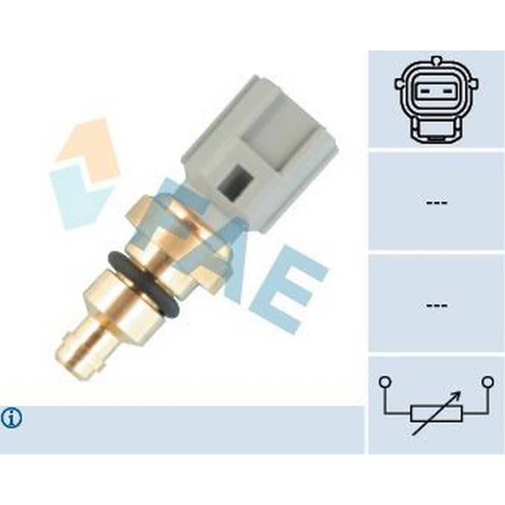 HARARET MUSURU FIESTA VAN FOCUS I 98>04 FUSION 02>12 1.6 16V