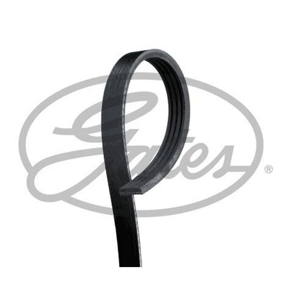 KANALLI KAYIS R19 1,2 8V (88 95) 48388