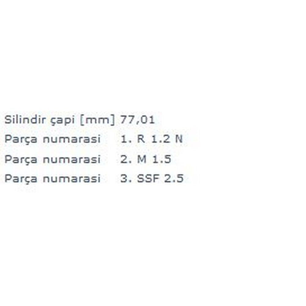 MOTOR SEGMANI 0.50 77,00mm BORA GOLF IV V CADDY II III LUPO POLO CORDOBA IBIZA II III IV INCA LEON T