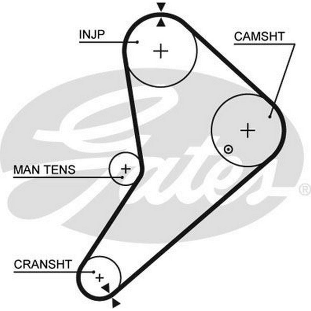 TRIGER KAYISI (123x254) FORD TRANSIT 2.4D 8V (74 85) CT663