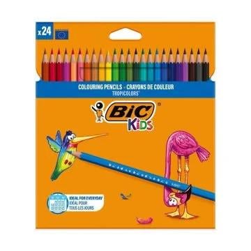 BİCBİC 24LÜ BOYA KALEMİ