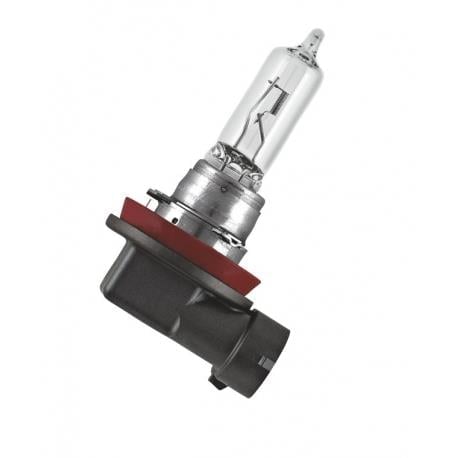 GENERAL TRUST H9 12V 65W Halojen Ampul – Yüksek Aydınlatma Performansı