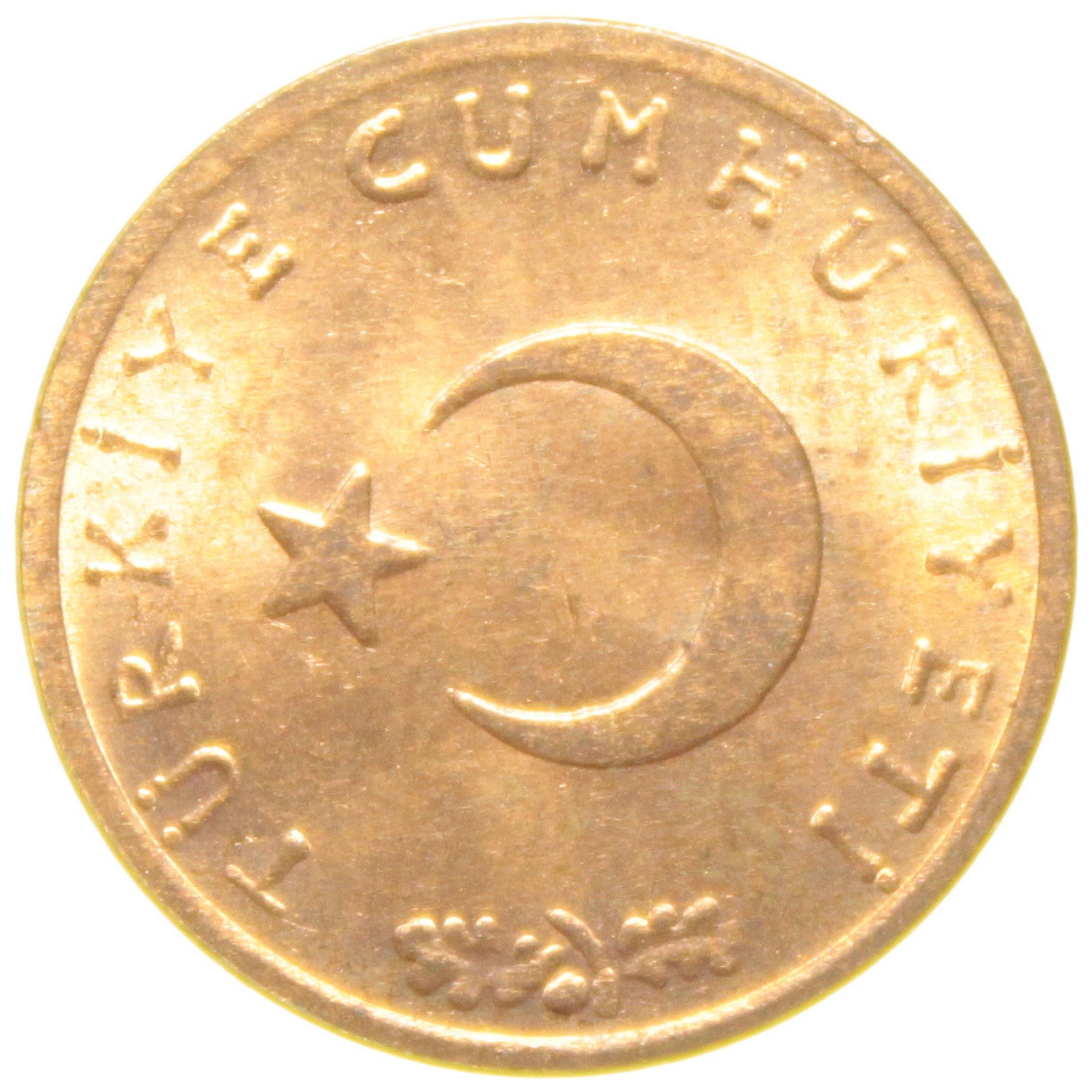 1 Kuruş - 1964  - ÇİL (TCM4)