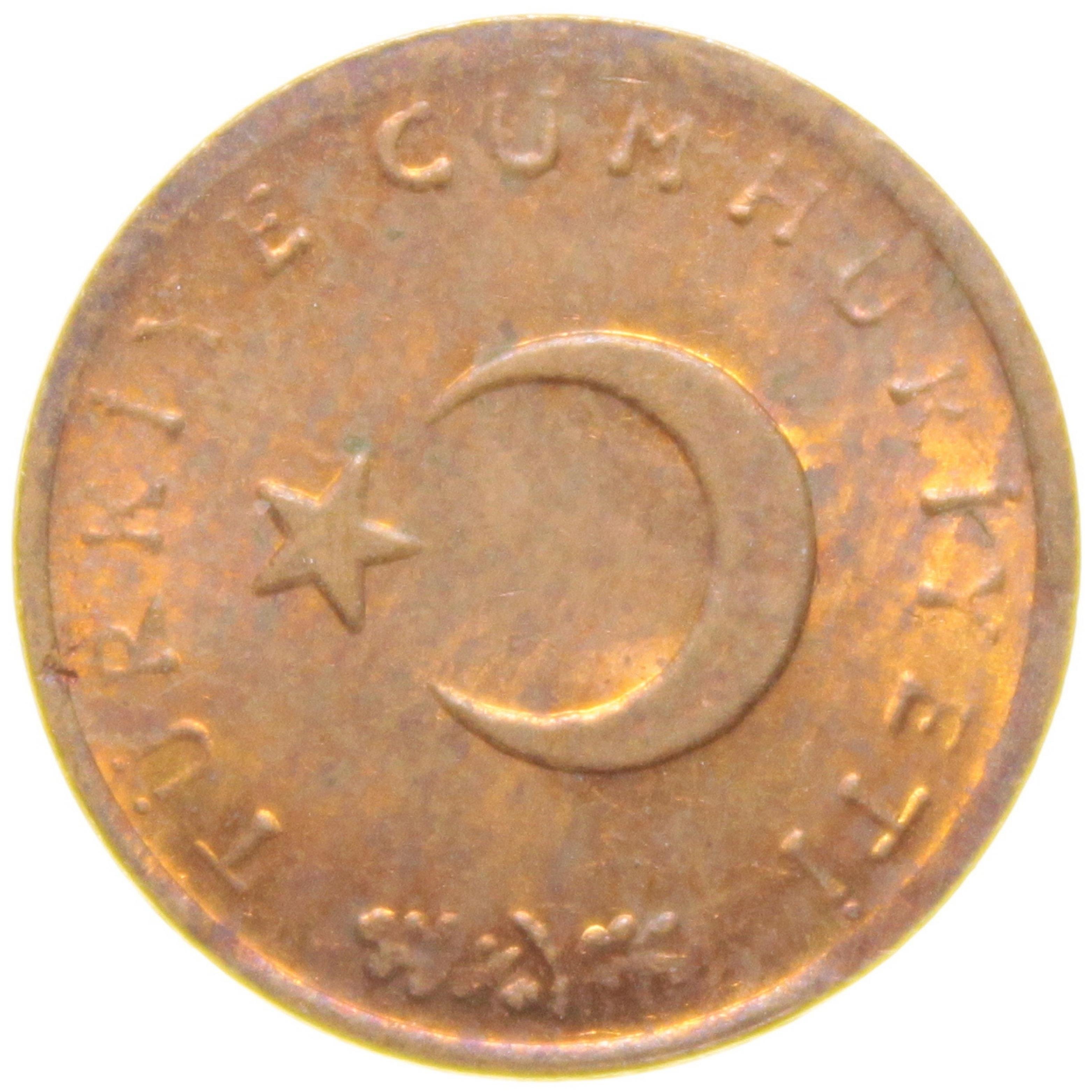 1 Kuruş - 1973  - ÇİL (TCM8)