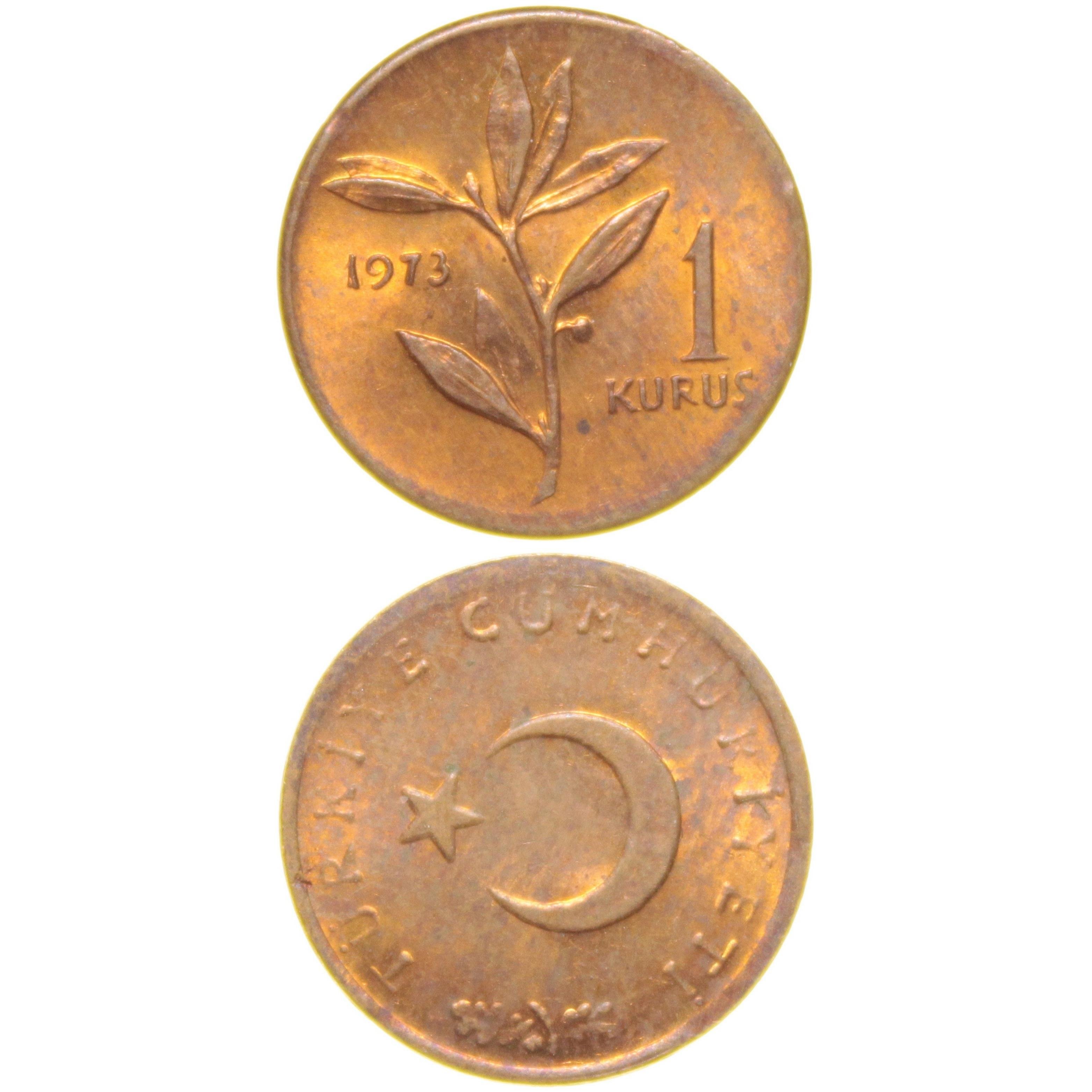 1 Kuruş - 1973  - ÇİL (TCM8)