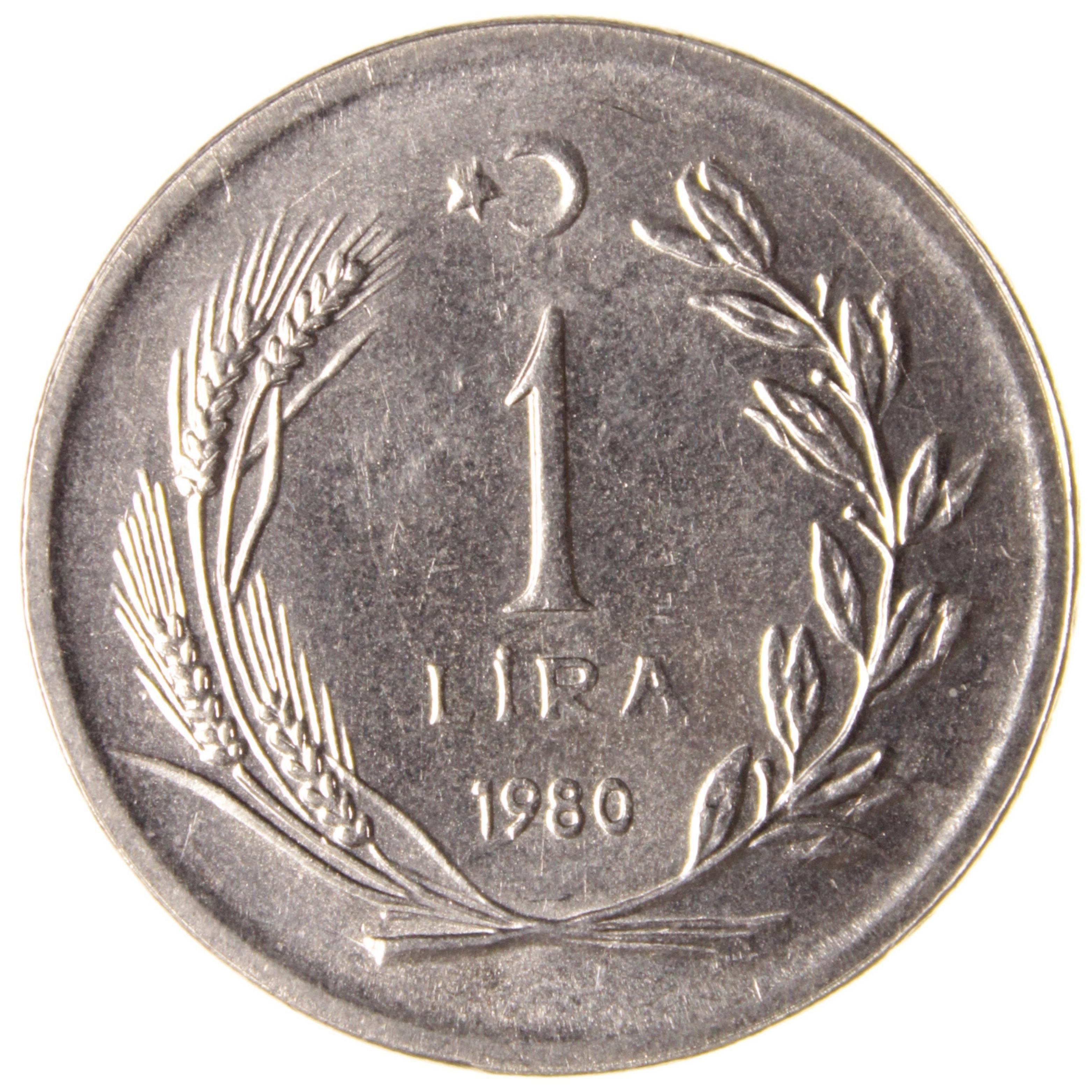 1 Lira - 1980  - ÇİL (TCM13)