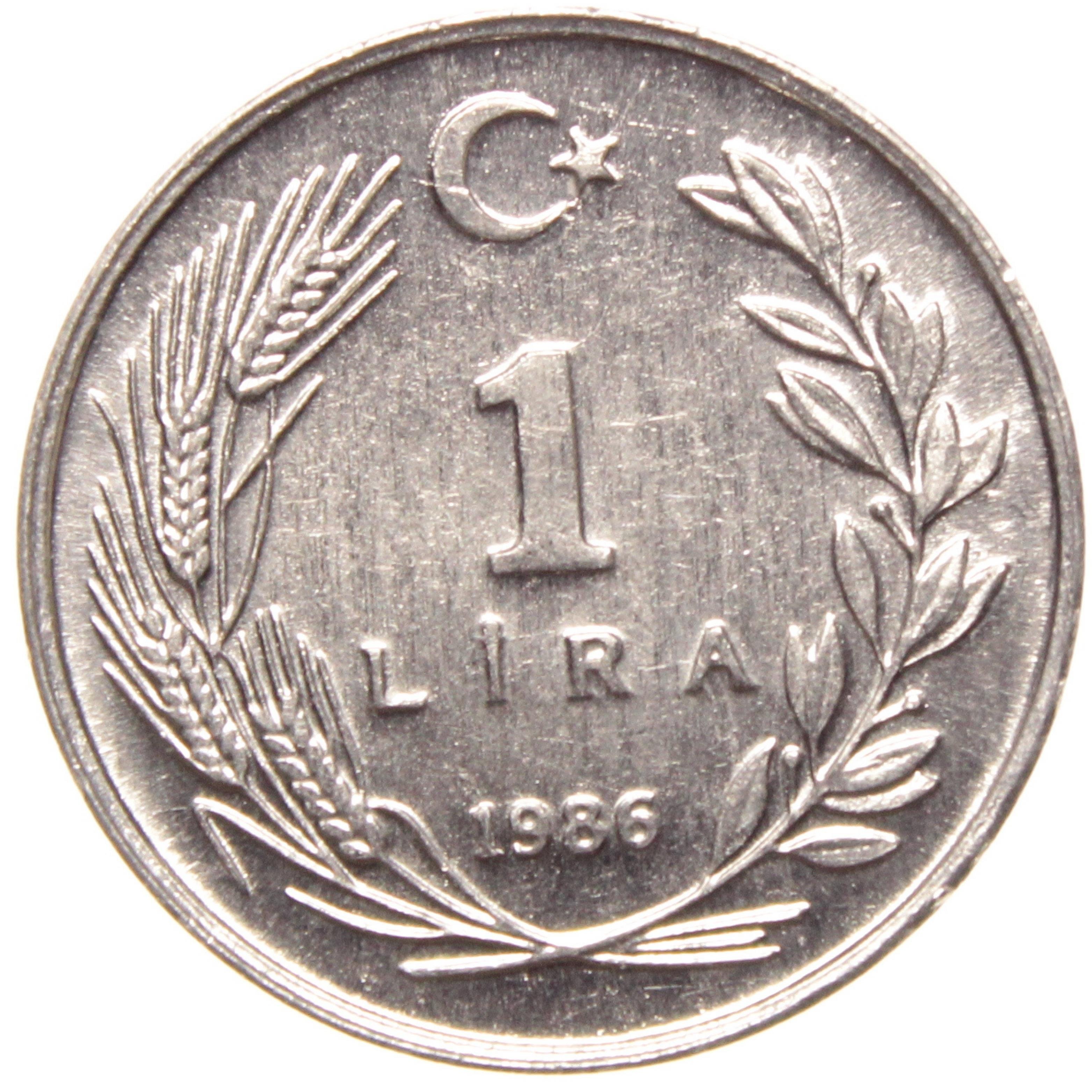 1 Lira - 1986  - ÇİL (TCM15)