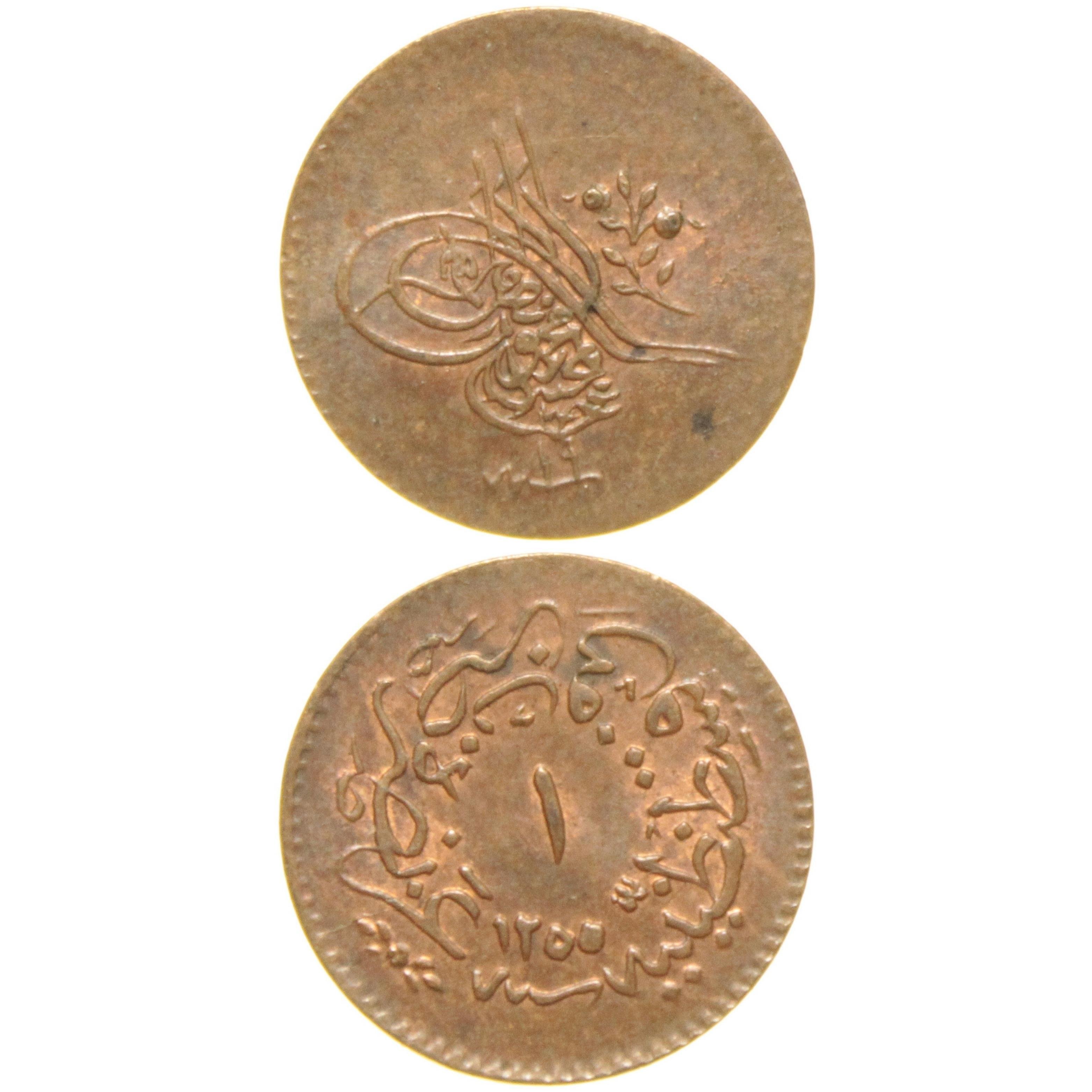 Sultan Abdülmecid 1255/19 Bakır 1 Para - Çil
