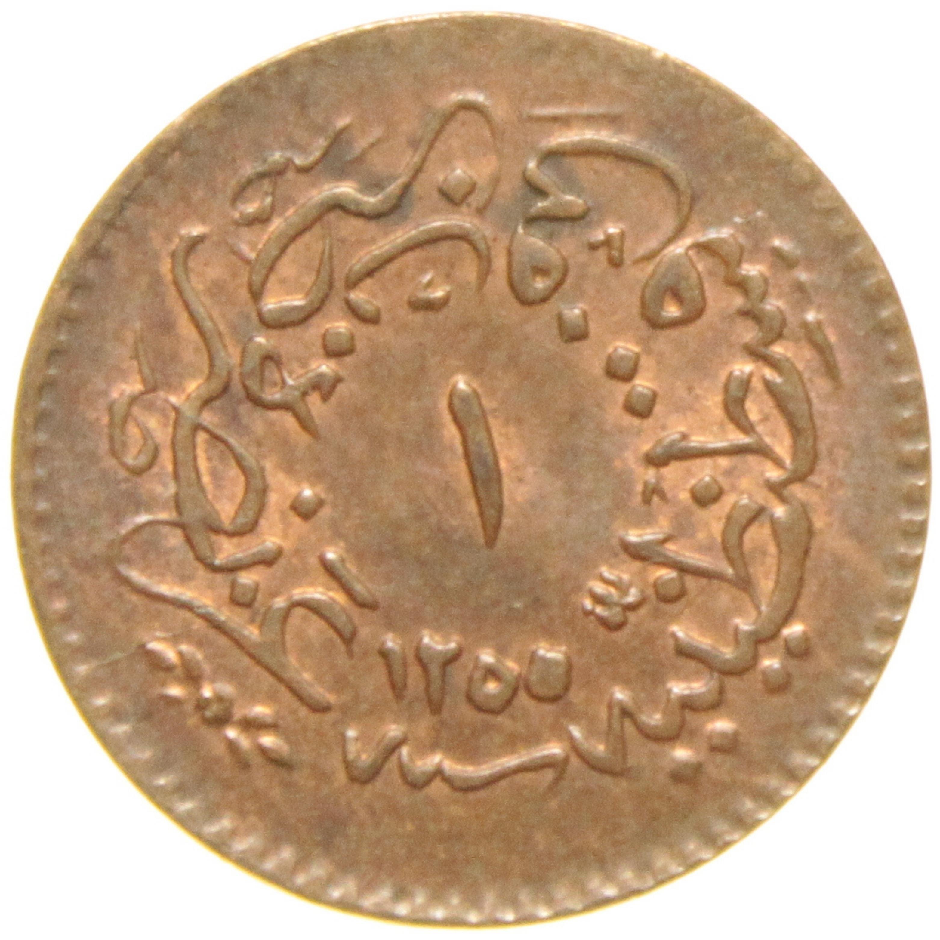 Sultan Abdülmecid 1255/19 Bakır 1 Para - Çil