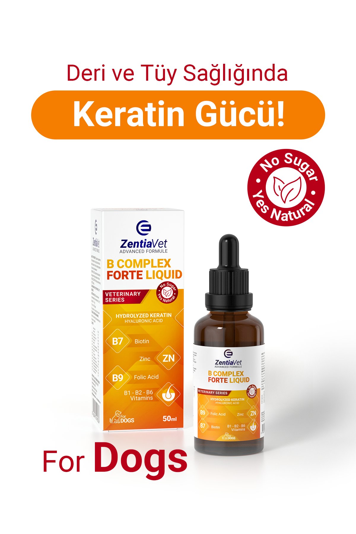 B COMPLEX FORTE LIQUID 50 ML-DOG