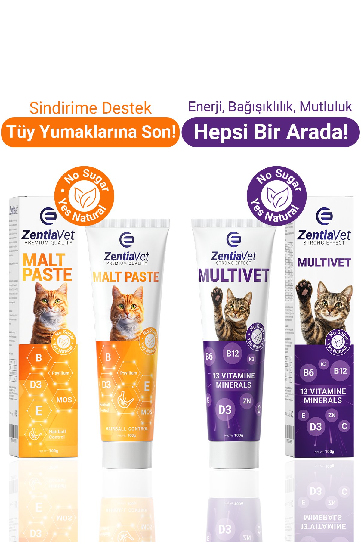 Kedi Malt Paste Multivet Kedi Maltı Kedi Vitamini Multivitamin Malt Macun Kediler için 100gr