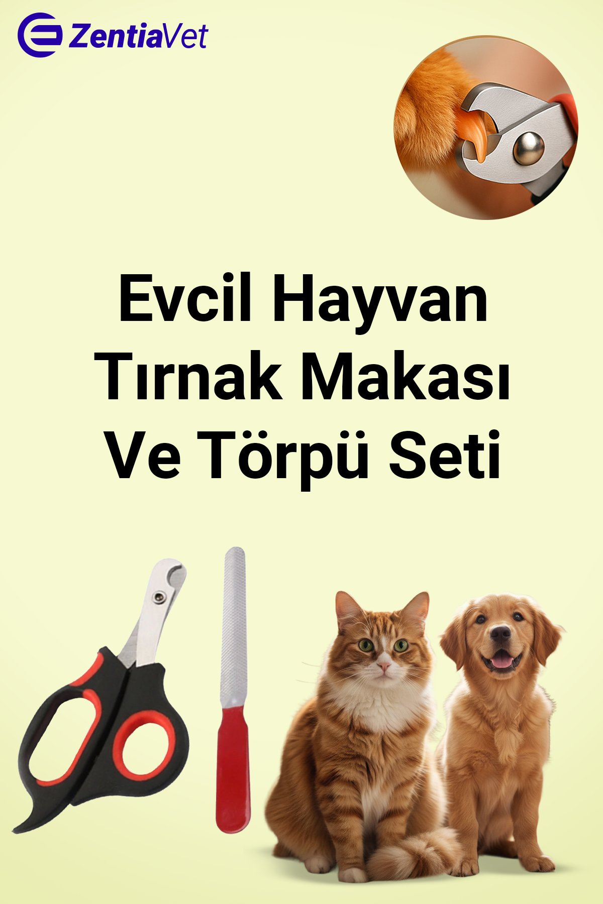Kedi ve Köpek Evcil Hayvan Pet Bakımı Tırnak Kesme Makası Pati Törpüleme Aleti Kedi Yatağı