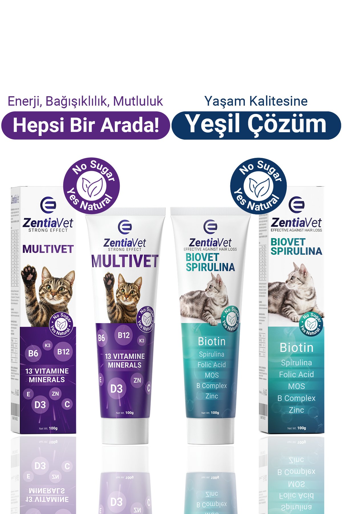 Multivet Biovet Kedi Maltı Macun Kedi Tüy Döküm Dökülme Önleyici Kedi Vitamini Detoks Etkili 100 gr