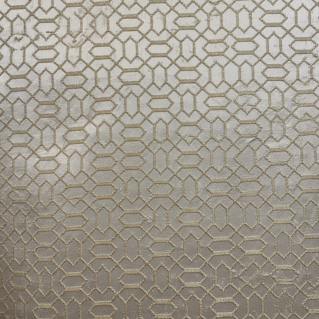 Perle - Edition Limitée Ceket