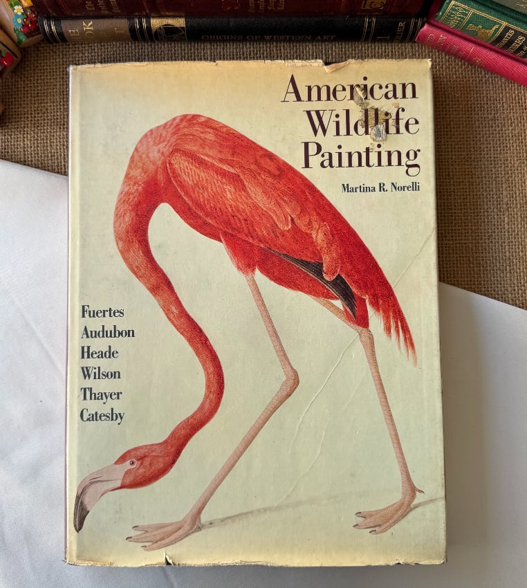 American Wildlife Painting - Martina R. Norelli
