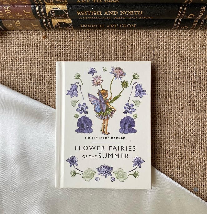 Flower Fairies of the Summer