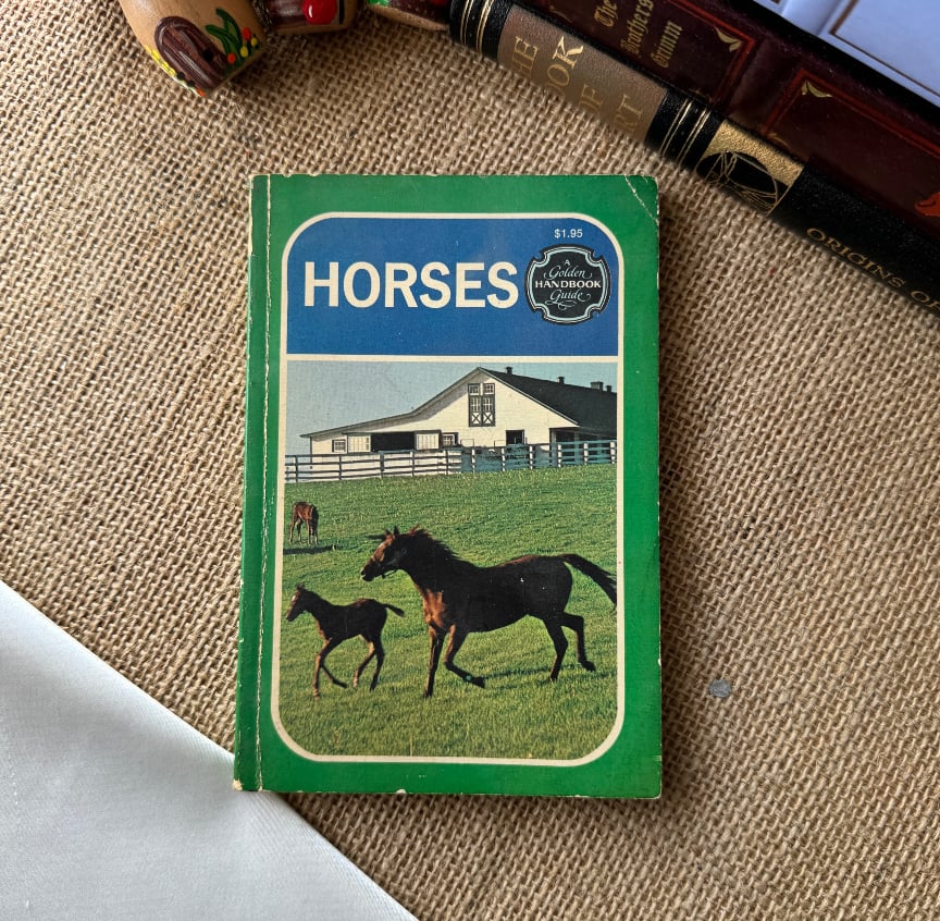 Horses - Moira Duggan
