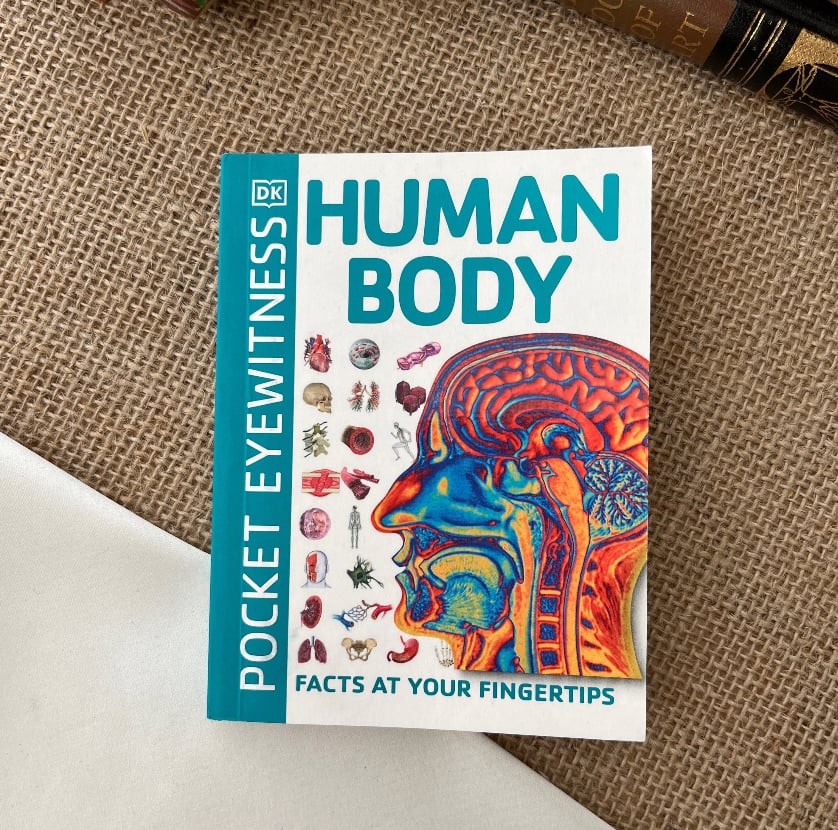 Human Body