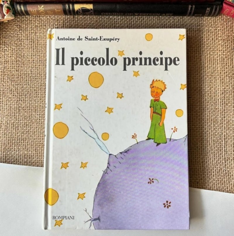 Il Piccolo Principe | Küçük Prens
