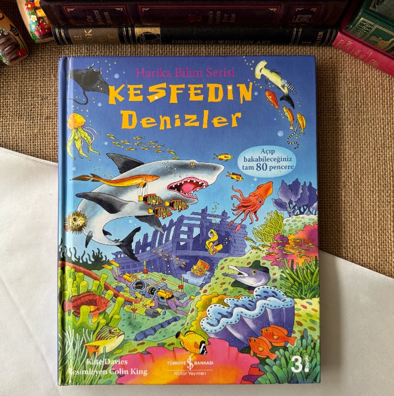 Keşfeden Denizler (Açılır pencereli) -  Kate Davies