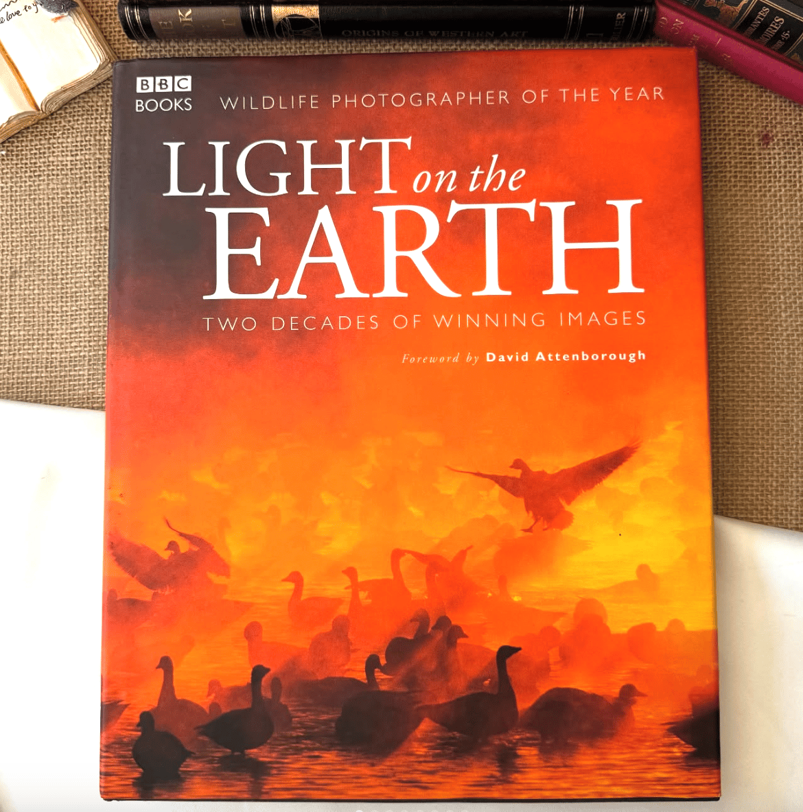 Light On The Earth, Rosamund Kidman-Cox