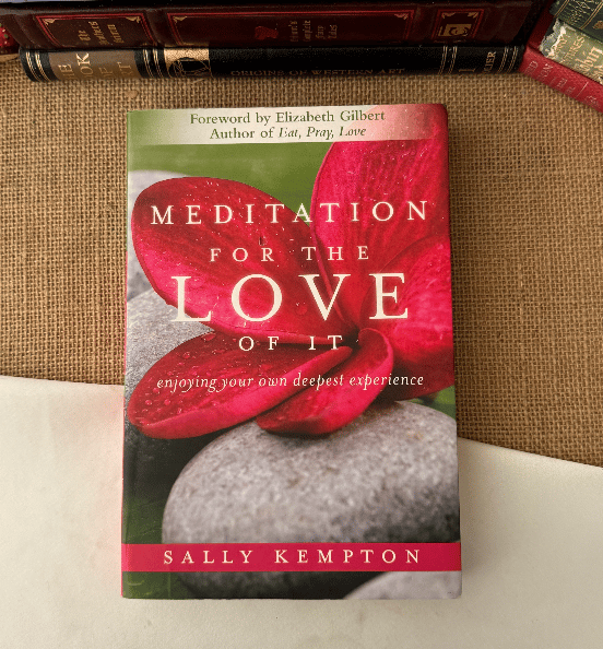 Meditation For The Love Of It
