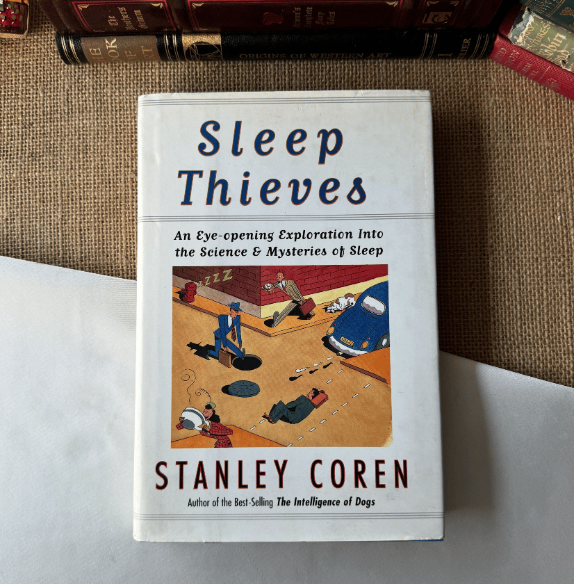 Sleep Thieves