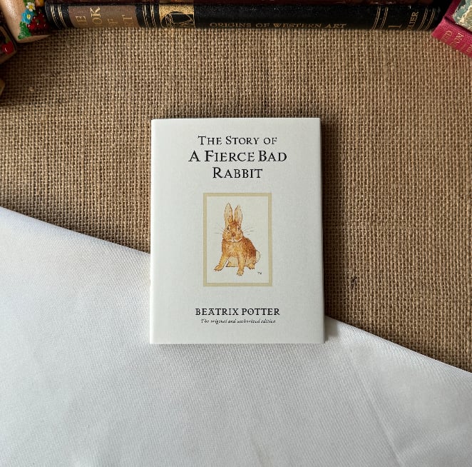 The Story of A Fierce Bad Rabbit