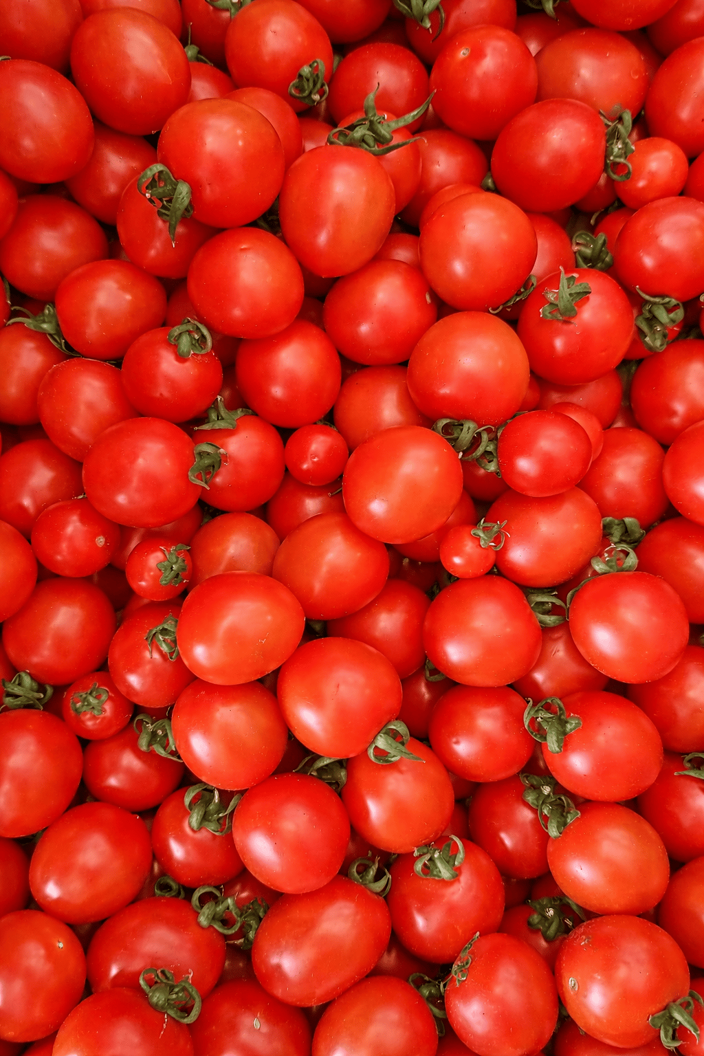 Cherry Domates
