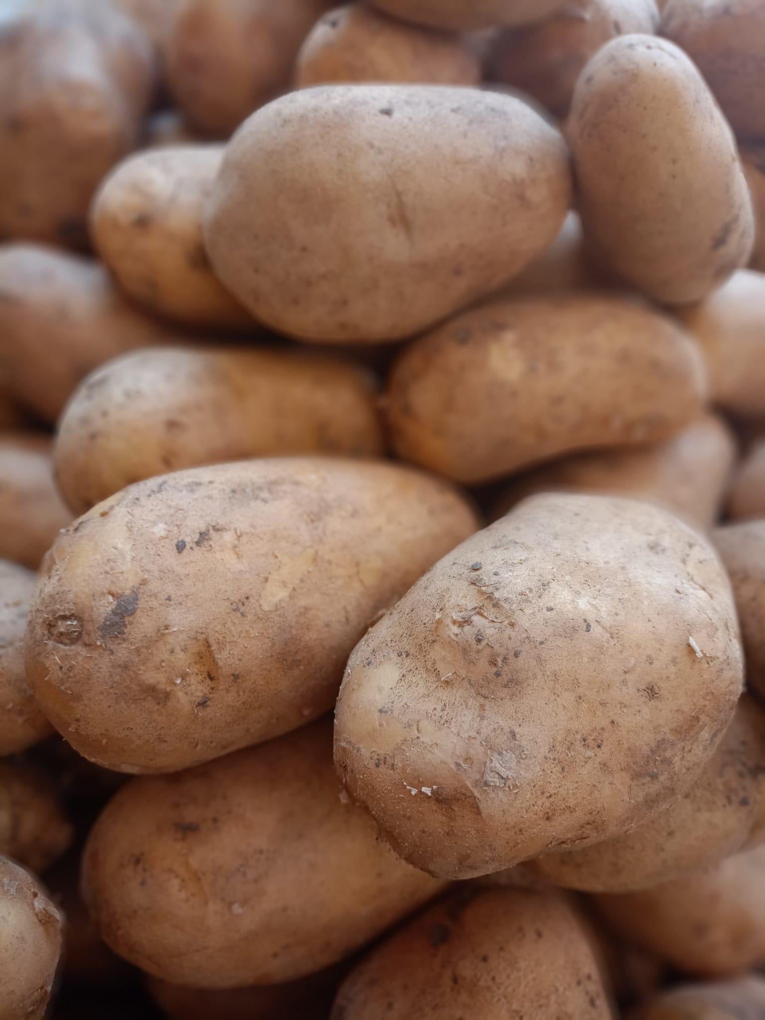 PATATES