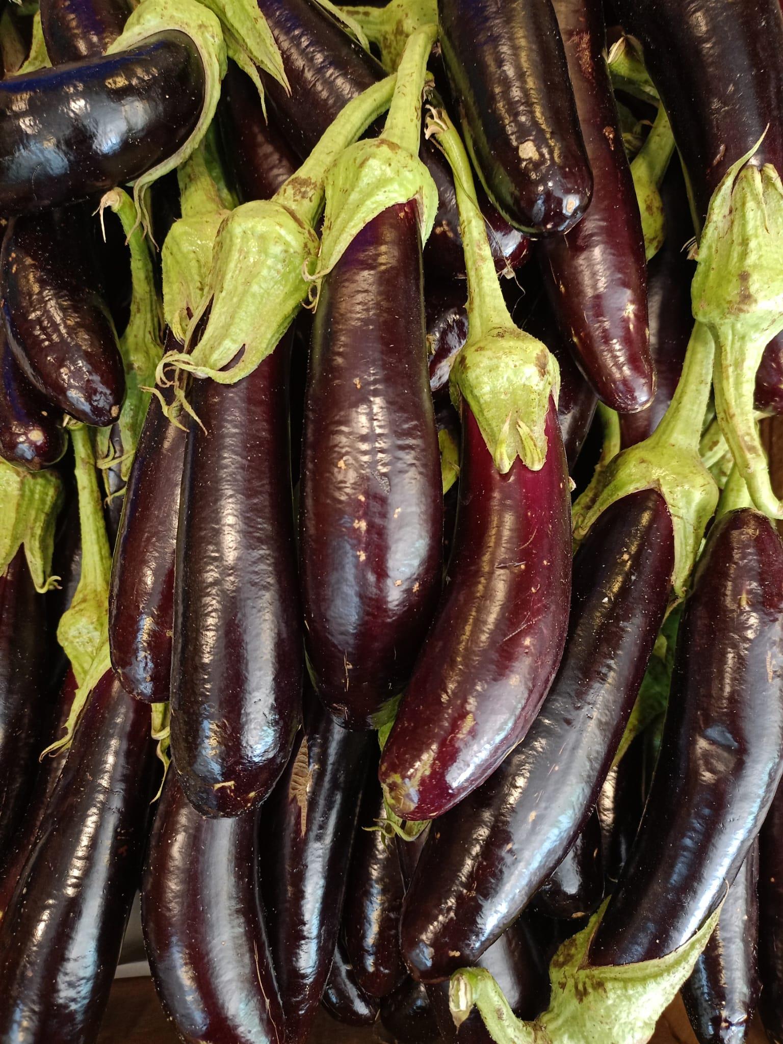 PATLICAN