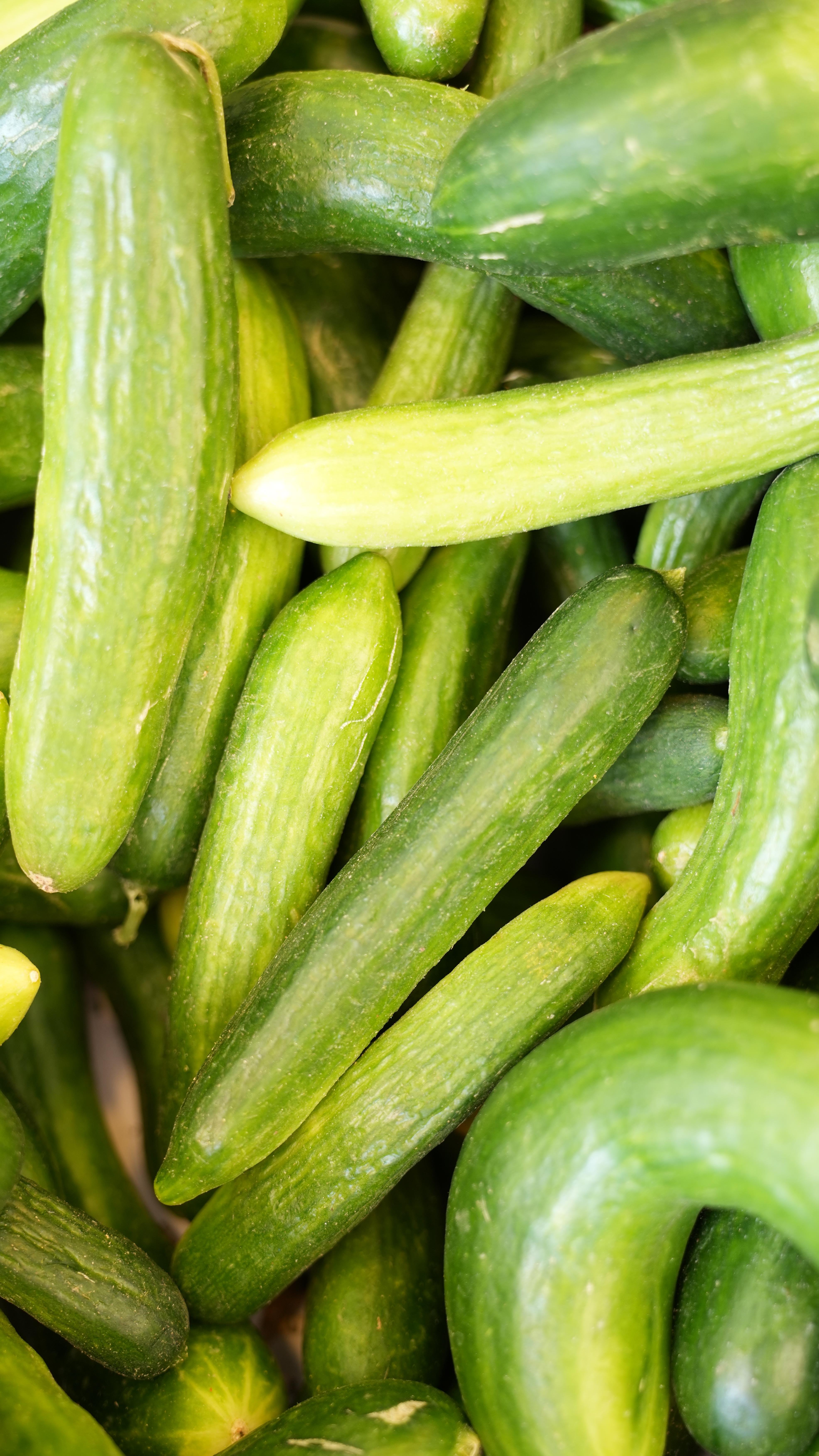 SALATALIK